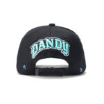 custom 5 panel cap with terry embroidery