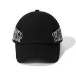 custom baseball cap with all over embroidery