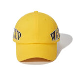 custom baseball cap with all over embroidery