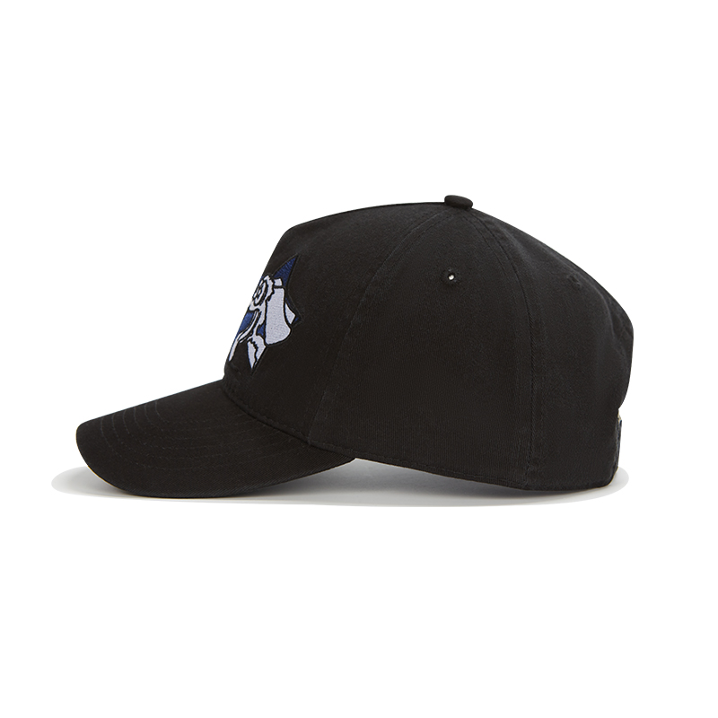 custom blue & white puppy embroidery baseball cap