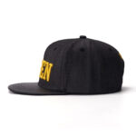 custom flat brim cap with 3d embroidery and pu leather brim