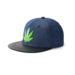custom flat brim cap with flat embroidery & print